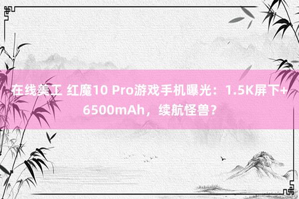 在线美工 红魔10 Pro游戏手机曝光：1.5K屏下+6500mAh，续航怪兽？