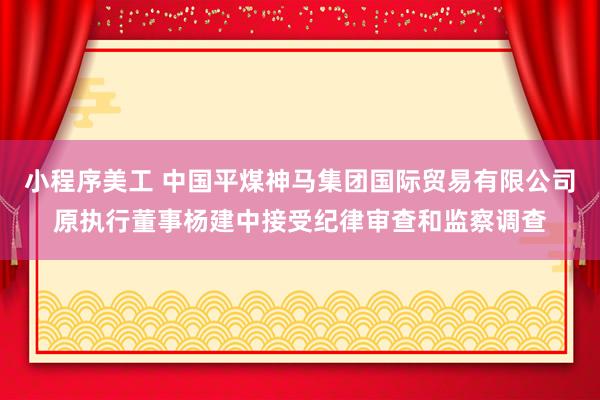 小程序美工 中国平煤神马集团国际贸易有限公司原执行董事杨建中接受纪律审查和监察调查